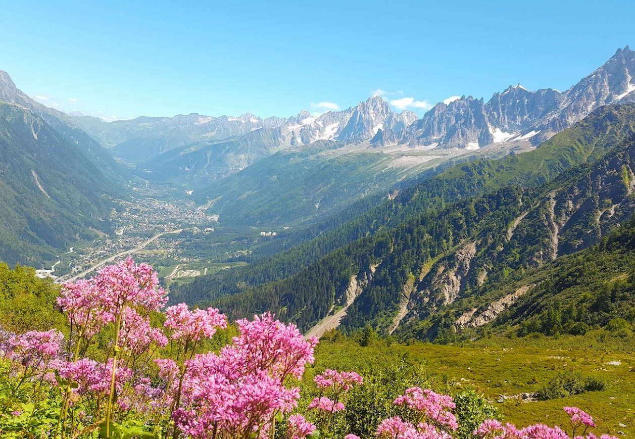 Classe-Affaires VTC - Chamonix - Haute-Savoie - France - Suisse Mountain valley with pink flowers in the foreground and snow-capped peaks in the background.