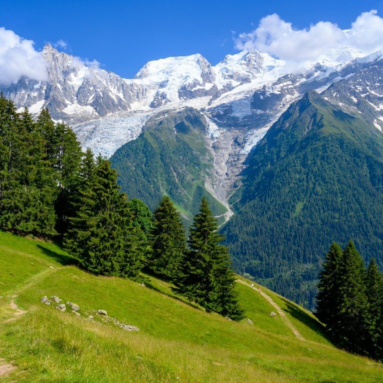 Montagnes majestueuses avec neiges éternelles, arbres verdoyants et ciel bleu.